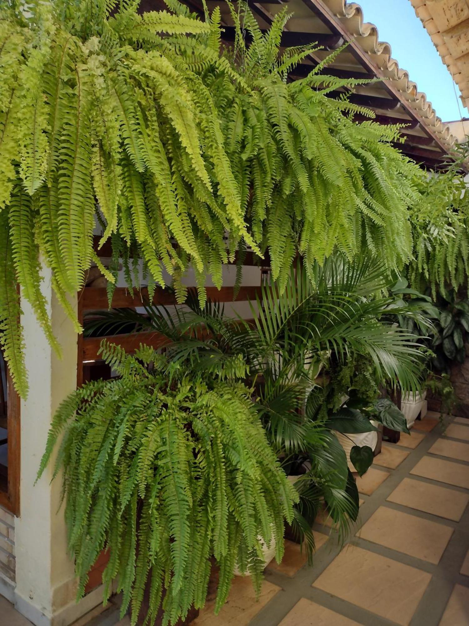 Pousada Vila Morena Itaunas  Exterior photo